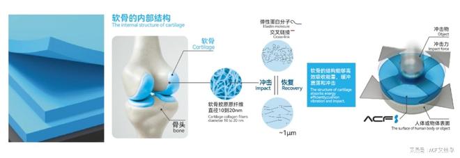 从实验室到产业变革：ACF软谷如何重构冲击防护技术生态